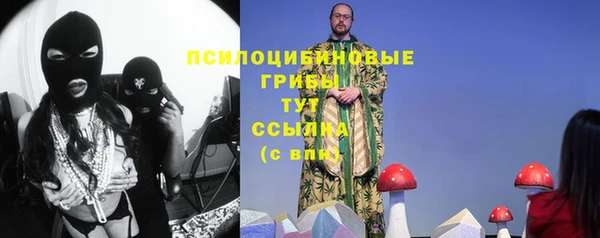 сатива Алзамай