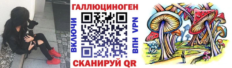 Псилоцибиновые грибы GOLDEN TEACHER Краснообск